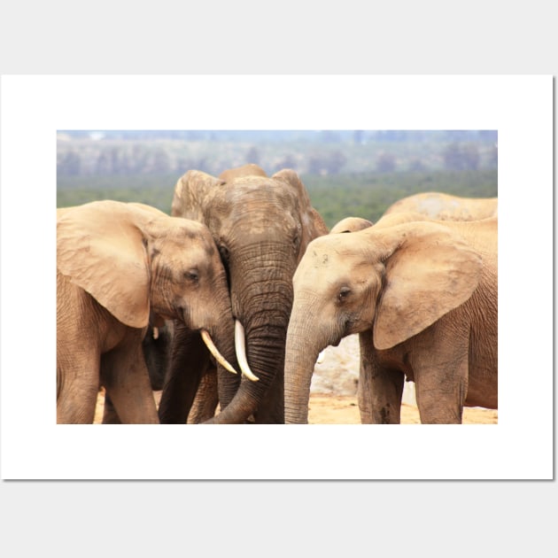 African Wildlife Photography Elephant Family Wall Art by PathblazerStudios